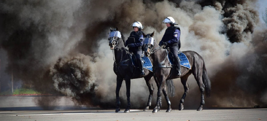 Egzamin policyjnych koni. Dym, wystrzały, atak napastników (VIDEO, ZDJĘCIA)