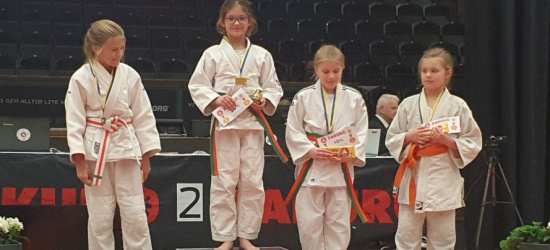 Świetna passa PANTERA SANOK w Mistrzostwach Judo w Szwecji. Kolejne medale! (ZDJĘCIA)