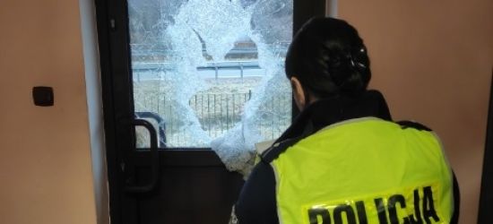 DYDNIA: Siekierą zdewastował drzwi posterunku policji (ZDJĘCIA)