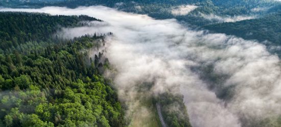 BIESZCZADY: Rekordowy wzrost turystów – region cieszy się coraz większym zainteresowaniem