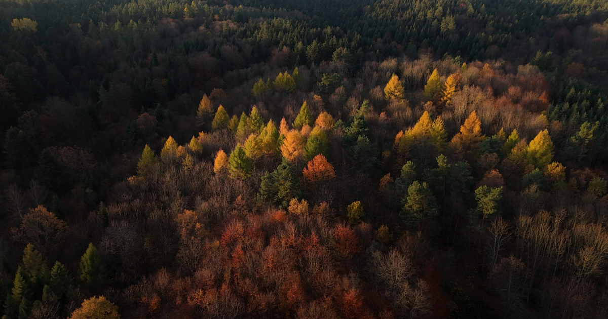 Czasowe zamknięcie szlaku turystycznego w Bykowcach. realizowane są prace gospodarcze