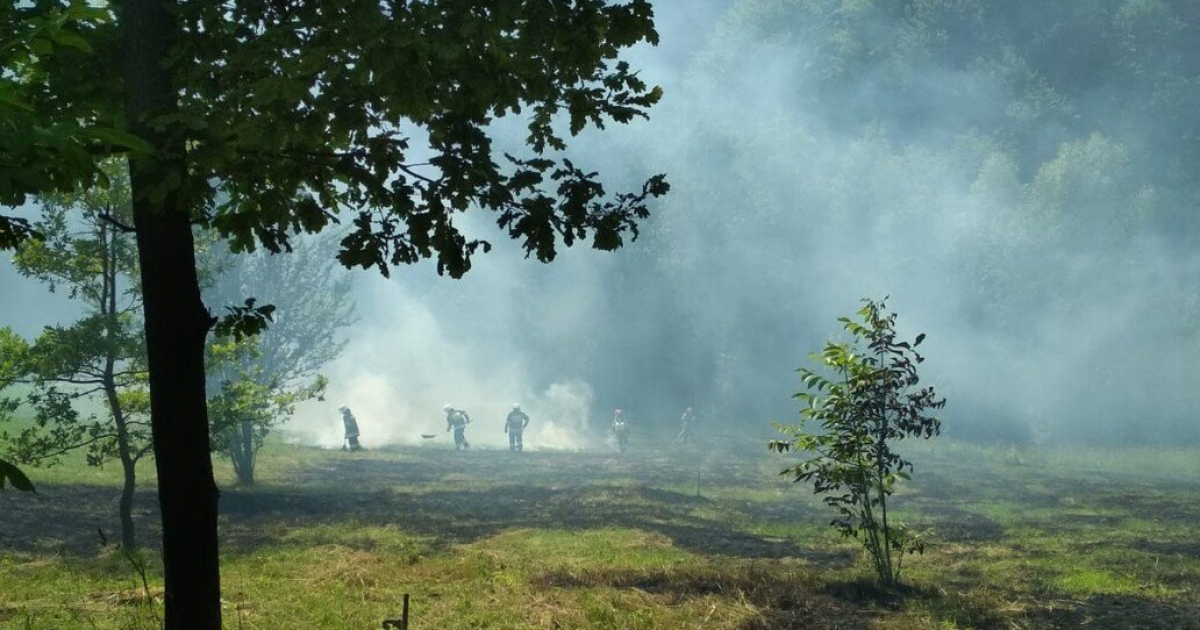 Pożar traw w Malinówce. Policja apeluje o rozwagę [ZDJĘCIA]