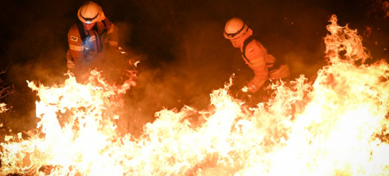 Pierwsze takie szkolenie na Podkarpaciu. Strażacy budują pasy ochronne [VIDEO, ZDJĘCIA]