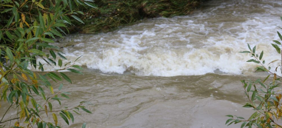 Ostrzeżenie hydrologiczne dla Podkarpacia. Na Osławie poziom wody może zbliżyć się do stanu alarmowego