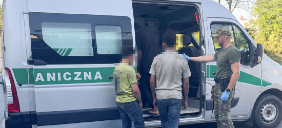 Straż Graniczna zatrzymała czterech Palestyńczyków ukrywających się w naczepie tira
