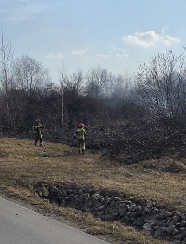 SANOK: Pożar traw na obwodnicy. Ogień po obu stronach drogi! [VIDEO, ZDJĘCIA]