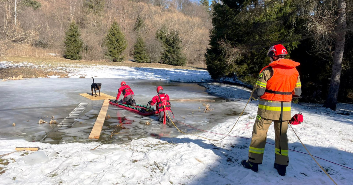 Akcja ratunkowa w Dwerniku. Strażacy ewakuowali psa z zamarzniętego stawu [ZDJĘCIA]