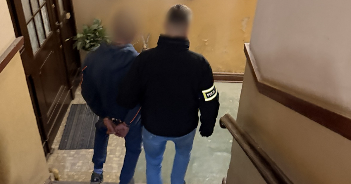 PODKARPACIE: Ukrywali się za granicą, wpadli po powrocie do kraju