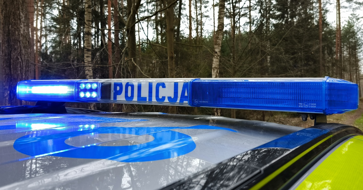 Zgubił się w lesie podczas grzybobrania. 52-latka odnaleźli policjanci