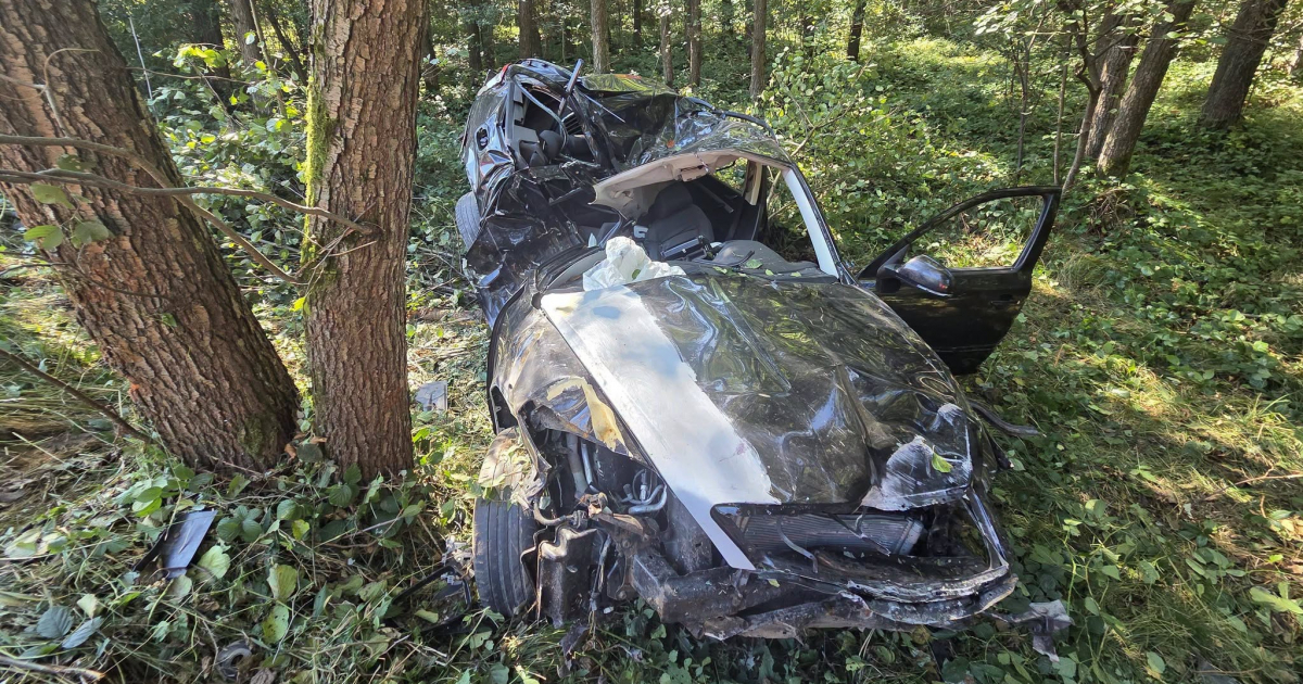 Tragiczny wypadek pod Pilznem. Pasażer zginął na miejscu [ZDJĘCIA]