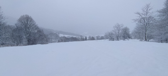 BIESZCZADY: W dolinach sypnęło dziś śniegiem (ZDJĘCIA)