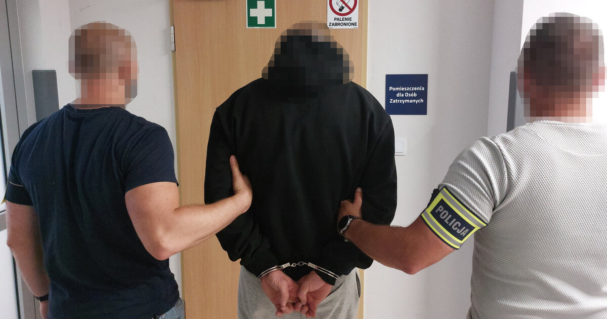 Seria przestępstw w jeden dzień. 22-latek w rękach policji! [ZDJĘCIA]