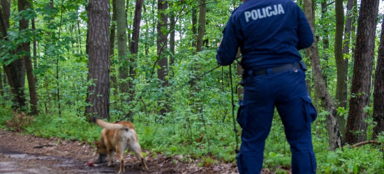 PODKARPACIE: Pies podjął trop i odnalazł zaginionego