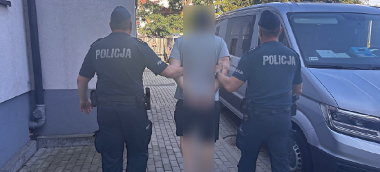 Podpalał pojemniki na śmieci. 30-latek trafił do aresztu