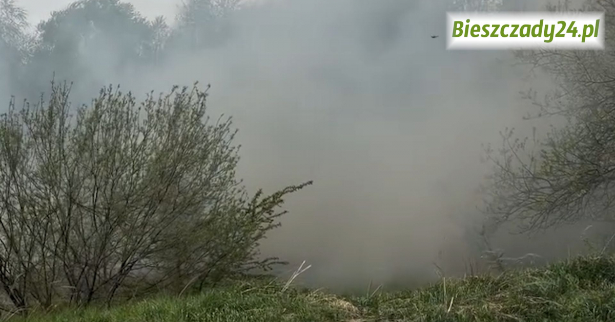 Groźny pożar przy obwodnicy Sanoka. Ogień gwałtownie się rozprzestrzeniał [VIDEO, ZDJĘCIA]