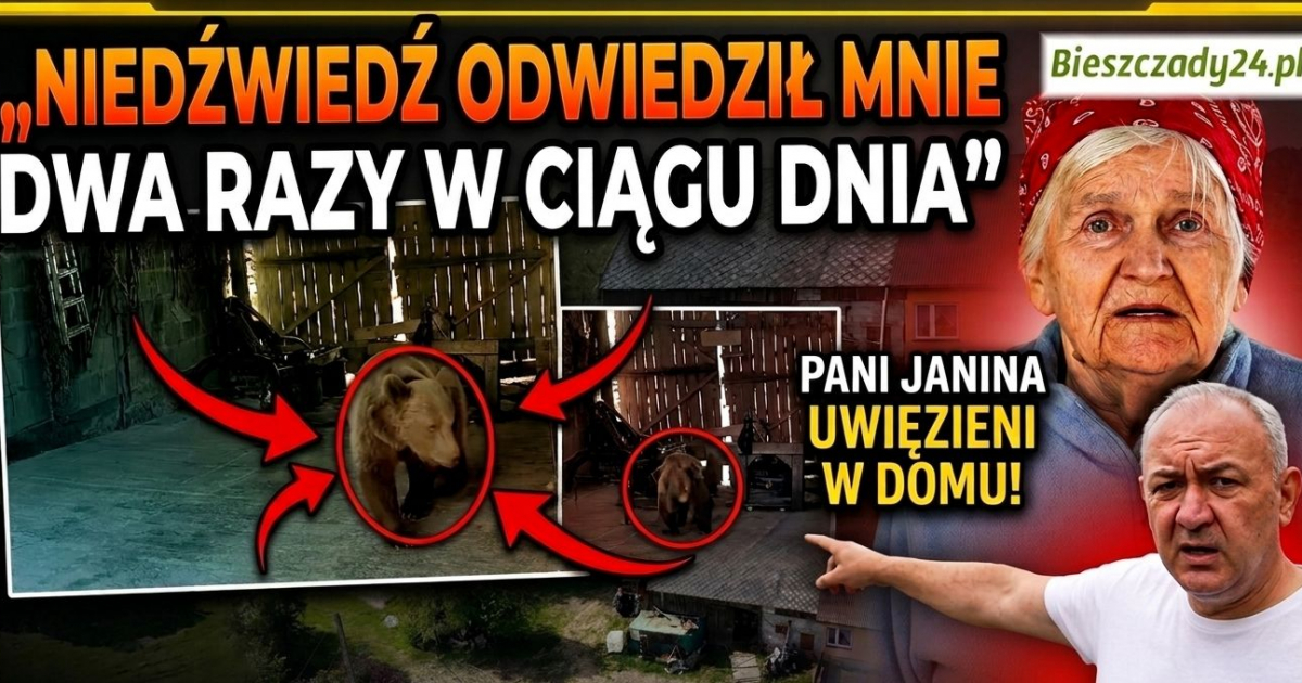 „Jesteśmy więźniami we własnym domu!” Dramat rodziny z gminy Solina [VIDEO]