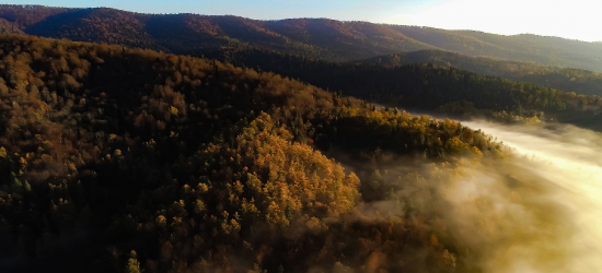 Planujesz wyjechać w Bieszczady? Sprawdź komunikat