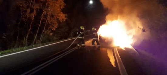 Pożar samochodu na serpentynach w Wujskiem (ZDJĘCIA)