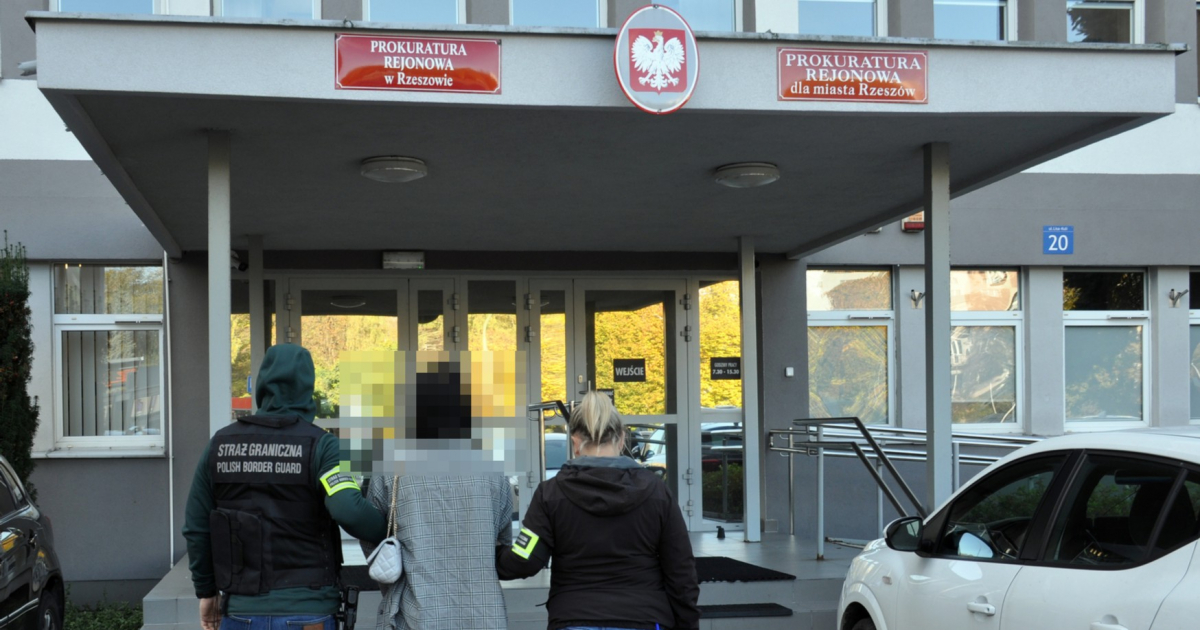 Fałszywe dokumenty, miliony złotych i 23 podejrzanych. Straż Graniczna rozbiła grupę przestępczą