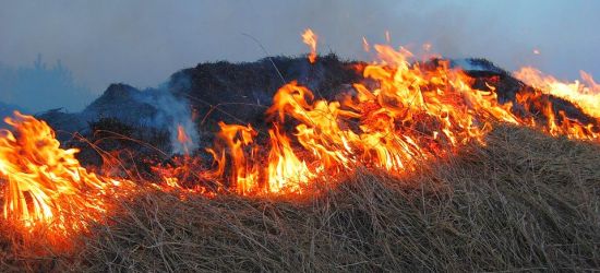 Śmiertelna ofiara wypalania traw na Podkarpaciu