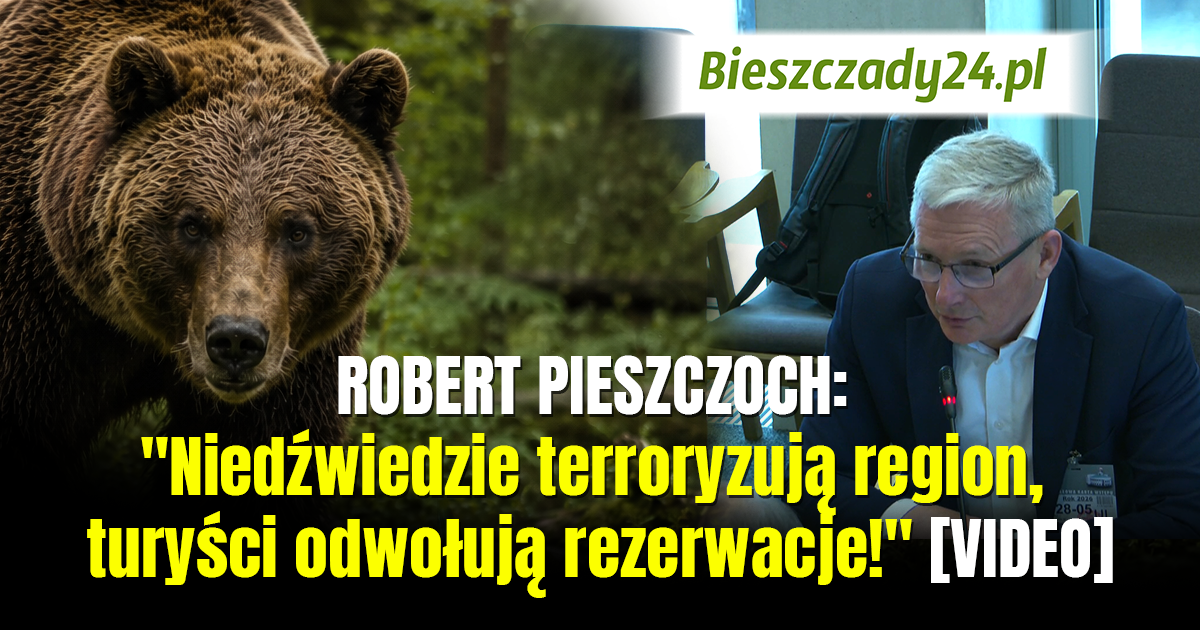 ROBERT PIESZCZOCH: „Niedźwiedzie terroryzują region, turyści odwołują rezerwacje!” [VIDEO]