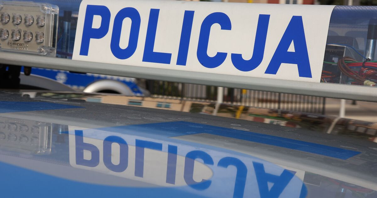 PODKARPACIE. Nocny wandal niszczył karoserie. Uszkodził 16 samochodów! (ZDJĘCIA)