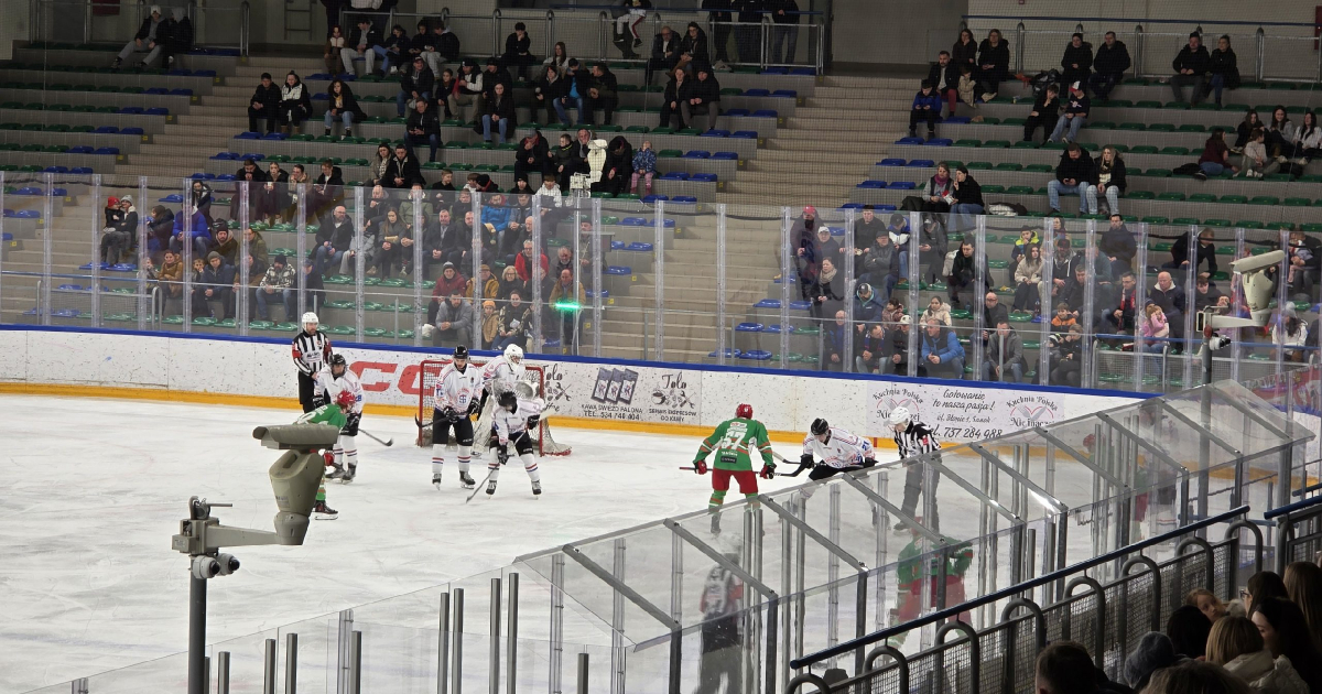 STS przegrywa z Zagłębiem. Pluszaki wylądowały na lodzie po… bramce gości [VIDEO]