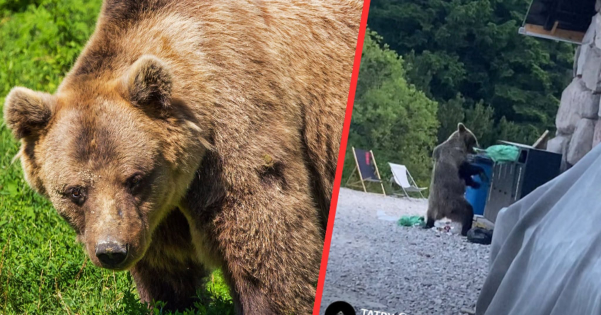 Pilny komunikat straży rybackiej! Ważne zmiany dla wędkarzy i turystów