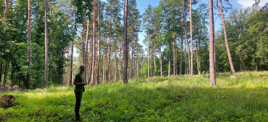 Brzozowscy leśnicy zagrają z WOŚP