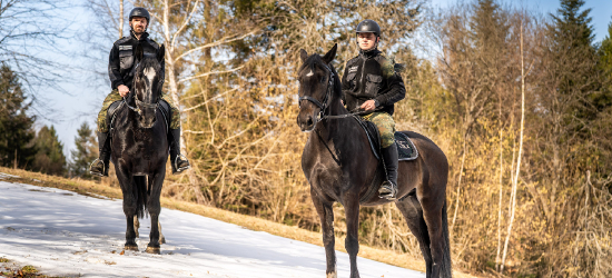 Nowe konie w służbie Bieszczadzkiego Oddziału Straży Granicznej. Cel Pal i R-Emil już patrolują granicę [VIDEO, ZDJĘCIA]