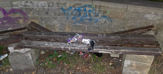 INTERWENCJA: Zniszczona ławka i śmieci w parku miejskim w Sanoku. „Wstyd i żal patrzeć”