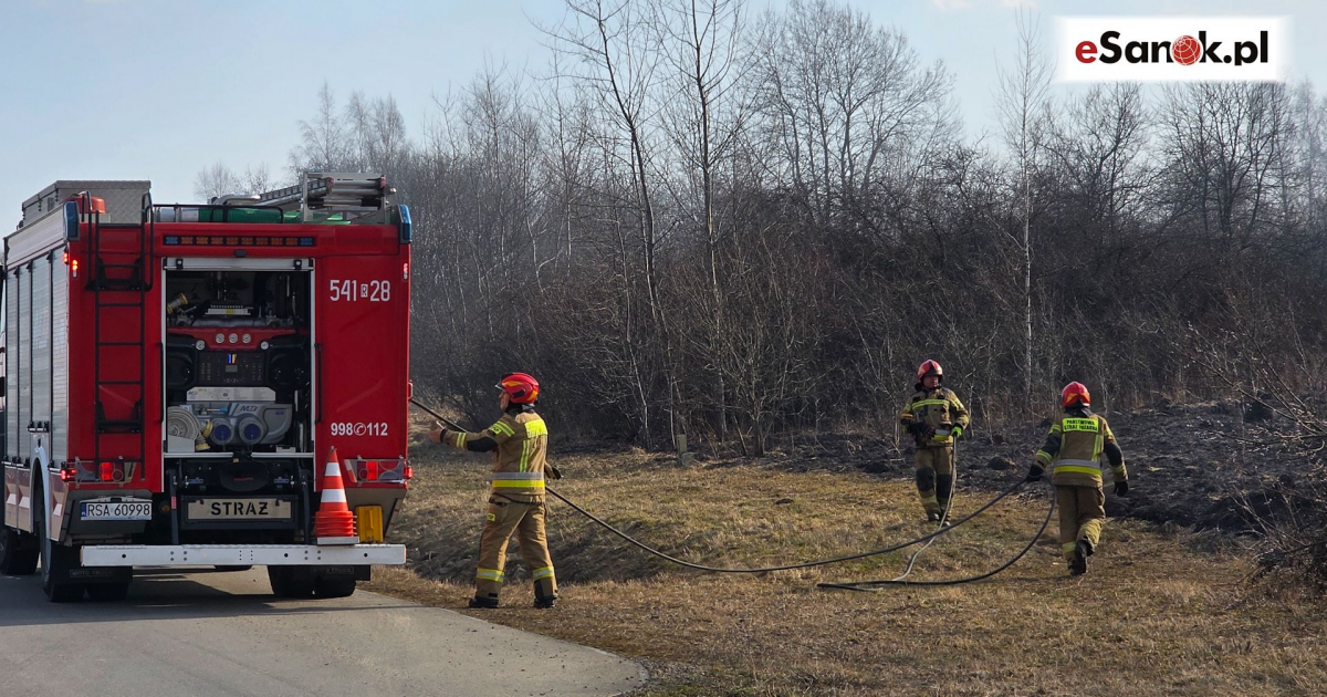 SANOK: Pożar traw na obwodnicy. Ogień po obu stronach drogi! [VIDEO, ZDJĘCIA]
