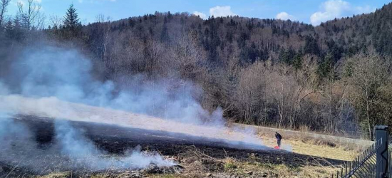 BYSTRE: Policjanci ugasili pożar łąki. Ogień zagrażał zabudowaniom [ZDJĘCIA]