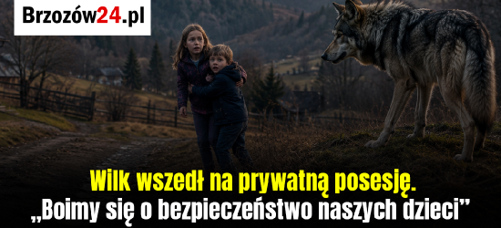 Wilk pojawił się na posesji w Jabłonce. W pobliżu było 20-miesięczne dziecko