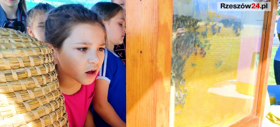 Uczniowie z wizytą w pasiece! Życie pszczół poznało 1600 młodych ludzi (VIDEO)