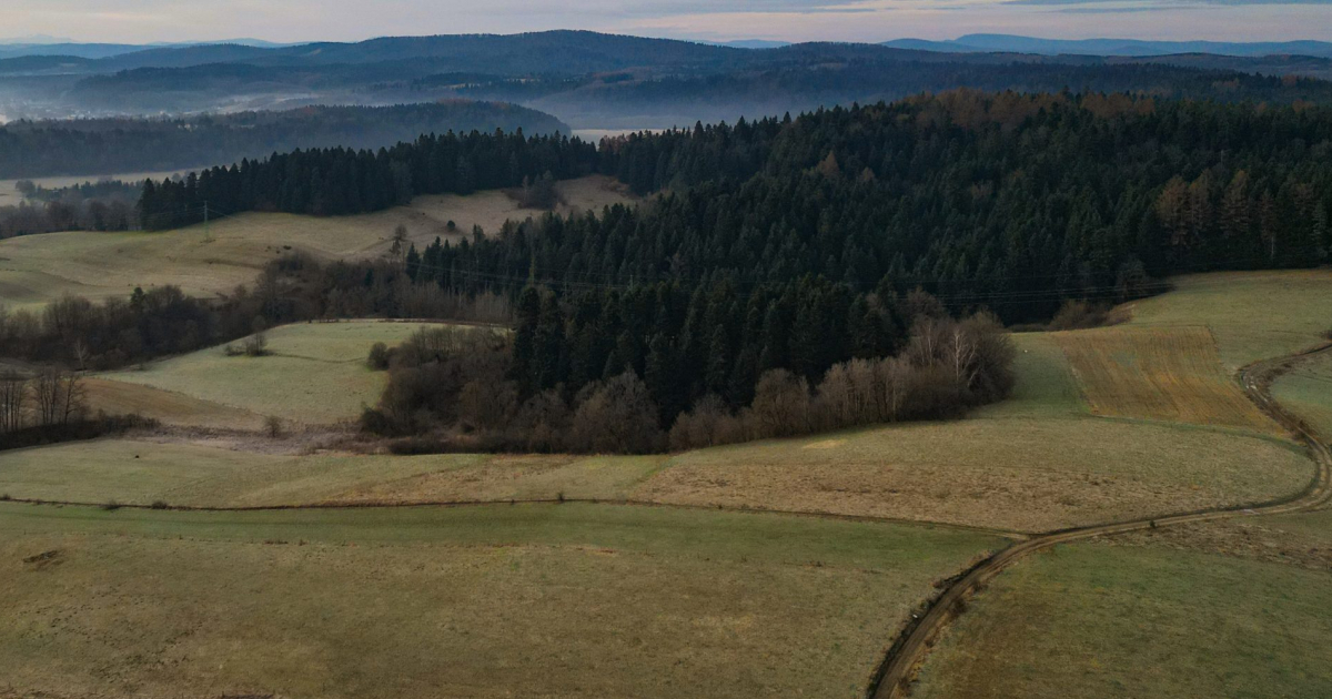 BALIGRÓD: Tajemnicze znalezisko w lesie. Co skrywała bieszczadzka ziemia?