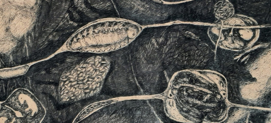 SANOK: „Szept pozorny” – wystawa Ewy Michałowicz-Smarzewskiej