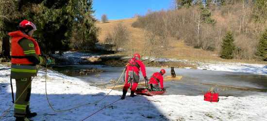 Akcja ratunkowa w Dwerniku. Strażacy ewakuowali psa z zamarzniętego stawu [ZDJĘCIA]