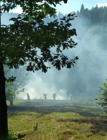 Pożar traw w Malinówce. Policja apeluje o rozwagę [ZDJĘCIA]