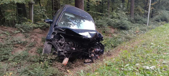 IZDEBKI: Pojazd uderzył drzewo. 23-latek w stanie ciężkim! (ZDJĘCIE)