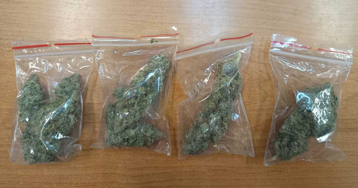 GOLCOWA: 23-latek zatrzymany za posiadanie marihuany. Grozi mu do 3 lat więzienia