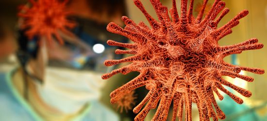 Koronawirus na Podkarpaciu nie odpuszcza. 13 nowych zakażeń