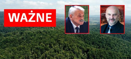 Samorządy chcą, by to człowiek rządził w lasach. Wysłały petycje do premiera Morawieckiego i Parlamentu Europejskiego