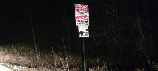 PILNE: Niedźwiedzie przy domku myśliwskim w Prusieku. Apel o zachowanie ostrożności!