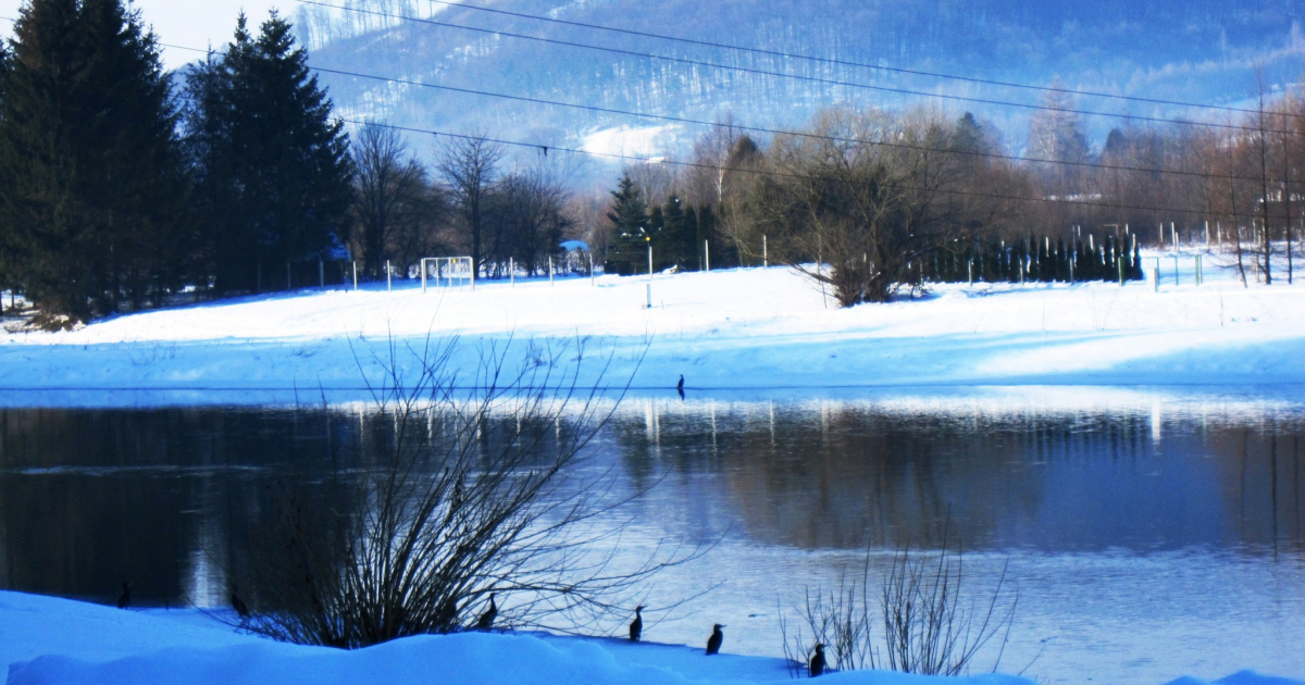 Społeczna Straż Rybacka kontroluje zimowe łowiska [ZDJĘCIA]