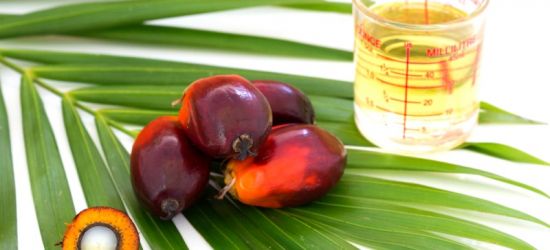 Olej palmowy certyfikowany i niecertyfikowany. Na czym polega różnica