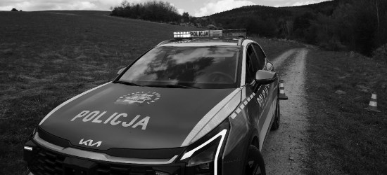 TRAGEDIA W GMINIE BUKOWSKO: Śmiertelny atak niedźwiedzia w Płonnej. Nie żyje 58-letnia kobieta [VIDEO, ZDJĘCIA]