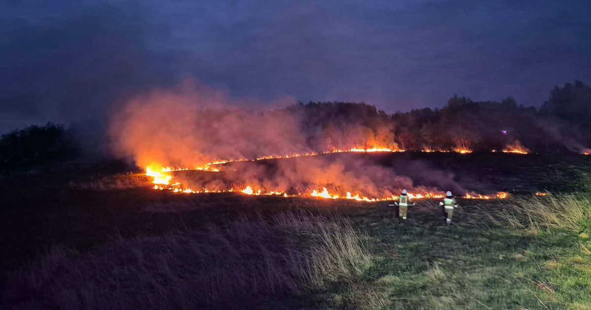 Nocna akcja strażaków w Krzemiennej. Płonęły nieużytki rolne [ZDJĘCIA]