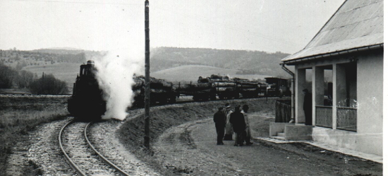 Historia kolejek leśnych na Podkarpaciu (ZDJĘCIA)