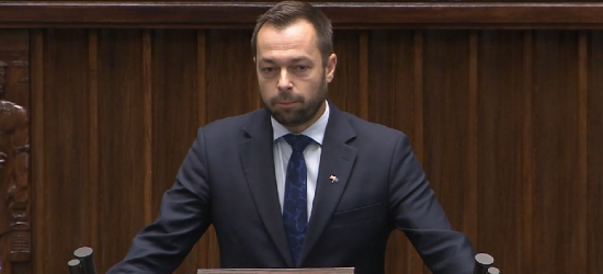 NIEDŹWIEDŹ W CENTRUM PRZEMYŚLA! Poseł Romowicz: „Czy czekacie, aż zabije człowieka w mieście?” [VIDEO]